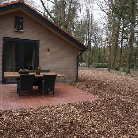 Lodge Loft No 111